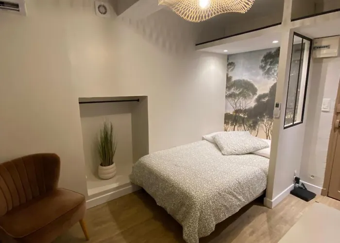 Hyper Centre Appartement