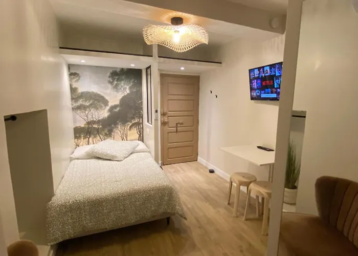 Hyper Centre Appartement